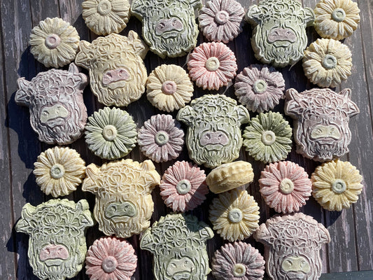 1 Dozen Spring Baby chick and nest Springerle Southern Tea Cake Daisy highland cow cookies Farm Baby Bridal Baptism Wedding Shower