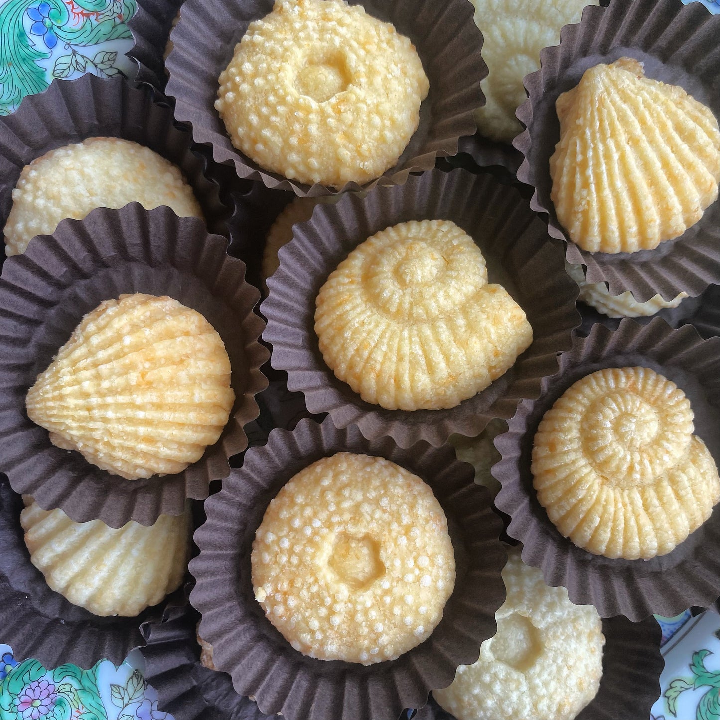 Buttery Soft Seashell Cheese bites for Holiday & Winter gatherings, Cheddar Gouda  Pecan Cheese Straws Charcuterie Seacuterie Hors D’oeuvres